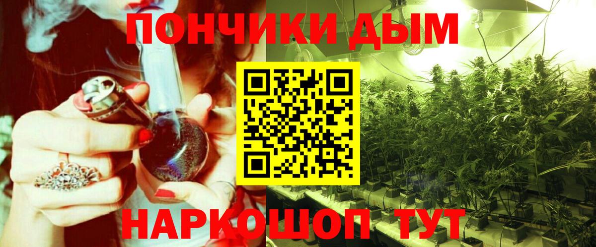 Бошки Шишки гибрид Пятигорск